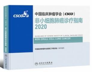 中国临床肿瘤学会（CSCO）非小细胞肺癌诊疗指南2020