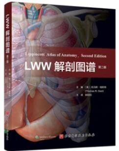 LWW解剖图谱 第2版_欧阳钧主译2021年（彩图）