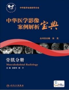 中华医学影像案例解析宝典 骨肌分册