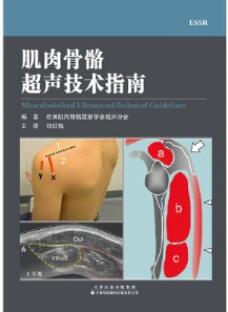 肌肉骨骼超声技术指南