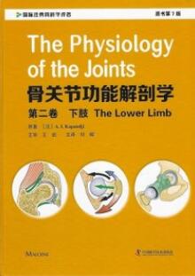 骨关节功能解剖学 第二卷 下肢（第7版）_刘晖主译2020年（彩图）