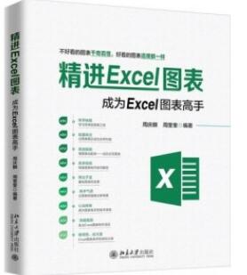 精进Excel图表 成为Excel图表高手_周庆麟 周奎奎主编_2019年（彩图）