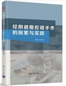 经阴道腹腔镜手术的探索与实践