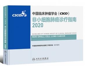 中国临床肿瘤学会（CSCO）非小细胞肺癌诊疗指南2020