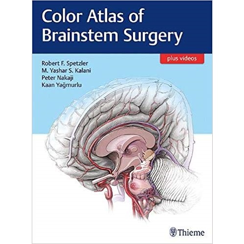 Color Atlas of Brainstem Surgery（脑干手术彩色图谱）