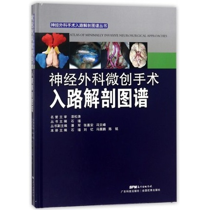 神经外科微创手术入路解剖图谱