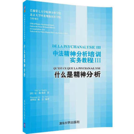 中法精神分析培训实务教程 Ⅲ 什么是精神分析