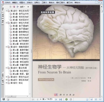 神经生物学 从神经元到脑 原书第5版