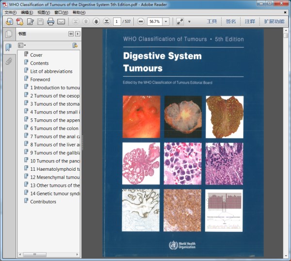 WHO Classification of Tumours of the Digestive System 5th Edition（WHO消化系统肿瘤的分类 第5版）