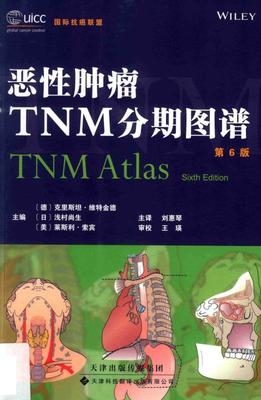 恶性肿瘤TNM分期图谱 第6版
