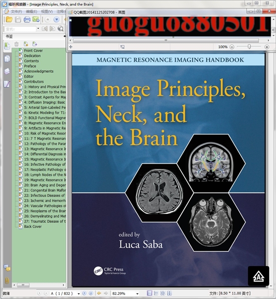 Image Principles, Neck, and the Brain