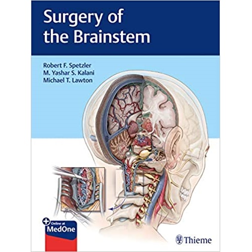 Surgery of the Brainstem（脑干手术）
