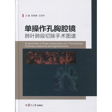 单操作孔胸腔镜肺叶肺段切除手术图谱