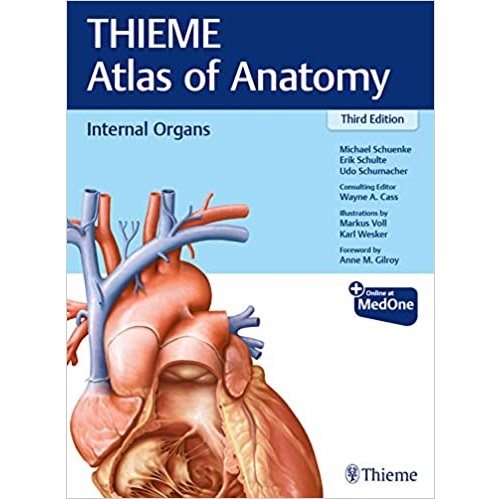 Internal Organs (THIEME Atlas of Anatomy) 3rd Edition（内脏器官）