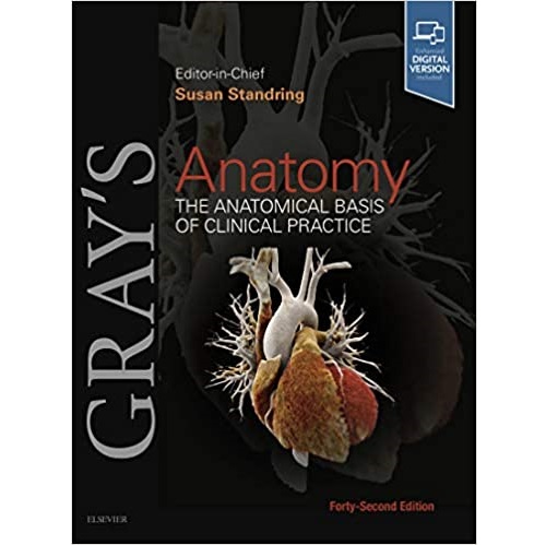 Gray"s Anatomy The Anatomical Basis of Clinical Practice 42nd Edition（格氏解剖学 第42版）