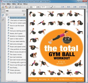 Total Gym Ball Workout _Trade Secrets of a Personal Trainer