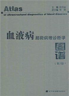 血液病超微病理诊断学图谱 第2版