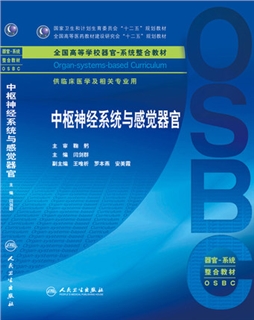 中枢神经系统与感觉器官 器官 系统整合教材