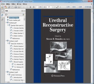 Urethral Reconstructive Surgery（尿道重建手术）