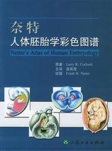 奈特人体胚胎学彩色图谱