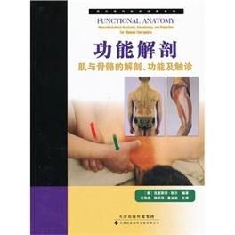 功能解剖 肌与骨骼的解剖、功能及触诊