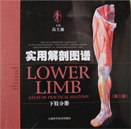 实用解剖图谱 下肢分册（第三版）