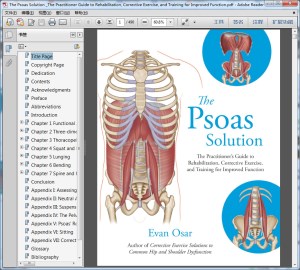 The Psoas Solution _The Practitioner Guide to Rehabilitation, Corrective Exercise, and Training for Improved Function（Psoas解决方案 康复、矫正运动和改善功能训练的实践者指南）