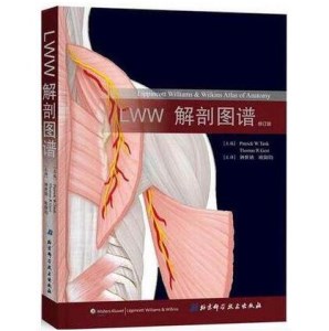LWW解剖图谱（修订版）