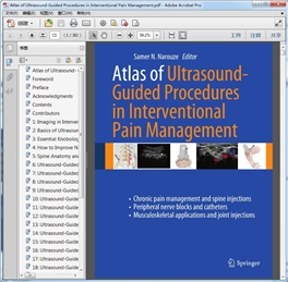 Atlas of Ultrasound-Guided Procedures in Interventional Pain