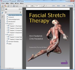 Fascial Stretch Therapy（筋膜拉伸疗法）