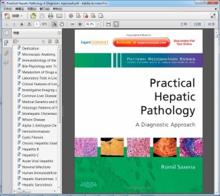 Practical Hepatic Pathology A Diagnostic Approach