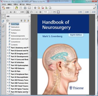 Handbook of Neurosurgery 8th Edition