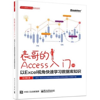 表哥的Access入门  以Excel视角快速学习数据库知识