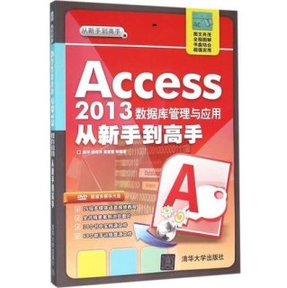 Access 2013 数据库管理与应用从新手到高手