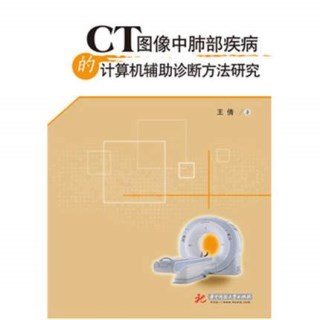 CT图像中肺部疾病的计算机辅助诊断方法研究