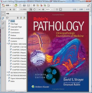 Rubin"s Pathology Clinicopathologic Foundations of Medicine 7th Edition