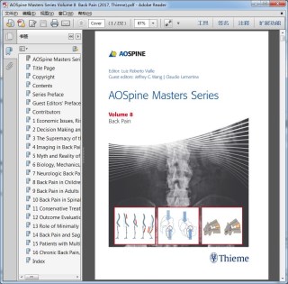 AOSpine Masters Series Volume 8  Back Pain