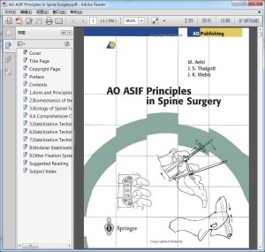 AO ASIF Principles in Spine Surgery