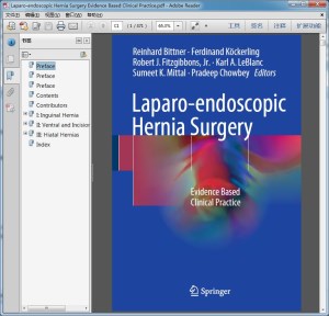 Laparo-endoscopic Hernia Surgery Evidence Based Clinical Practice