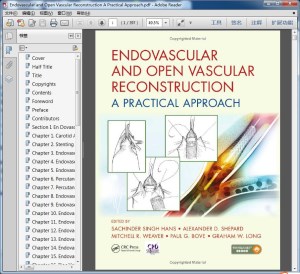 Endovascular and Open Vascular Reconstruction A Practical Approach