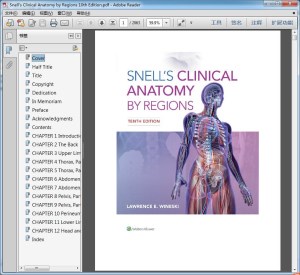 Snell"s Clinical Anatomy by Regions 10th Edition