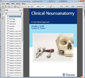 Clinical Neuroanatomy A Case-Based Approach