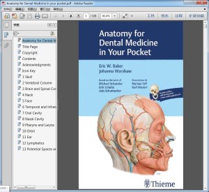 Anatomy for Dental Medicine in your pocket