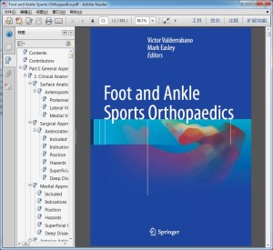 Foot and Ankle Sports Orthopaedics 
