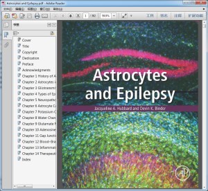 Astrocytes and Epilepsy