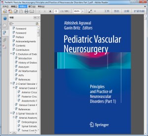 Pediatric Vascular Neurosurgery Principles and Practice of Neurovascular Disorders Part 1