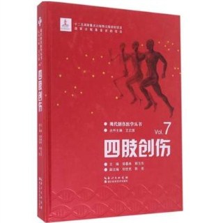 四肢创伤 现代创伤医学丛书