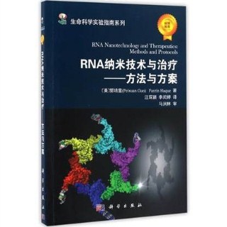 RNA纳米技术与治疗 方法与方案