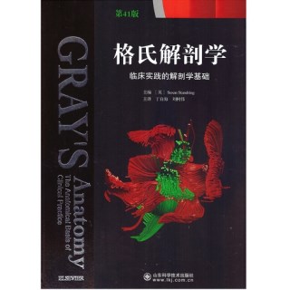 格氏解剖学 临床实践的解剖学基础 中文第41版