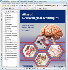 Atlas of Neurosurgical Techniques  Brain 2nd Edition 2016
